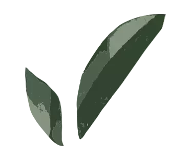 green leaf accent